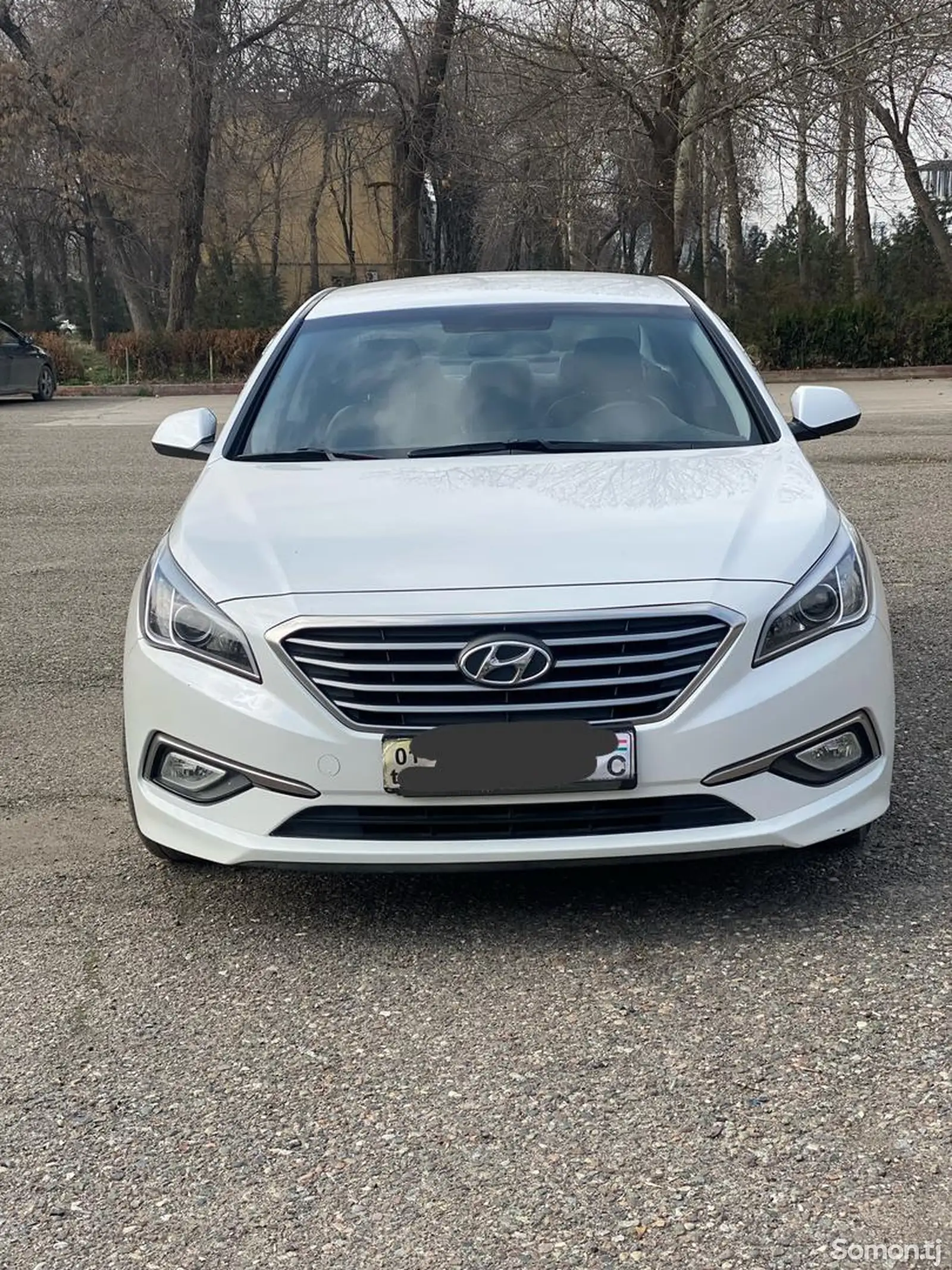 Hyundai Sonata, 2014-1