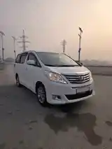 Toyota Alphard, 2014-6