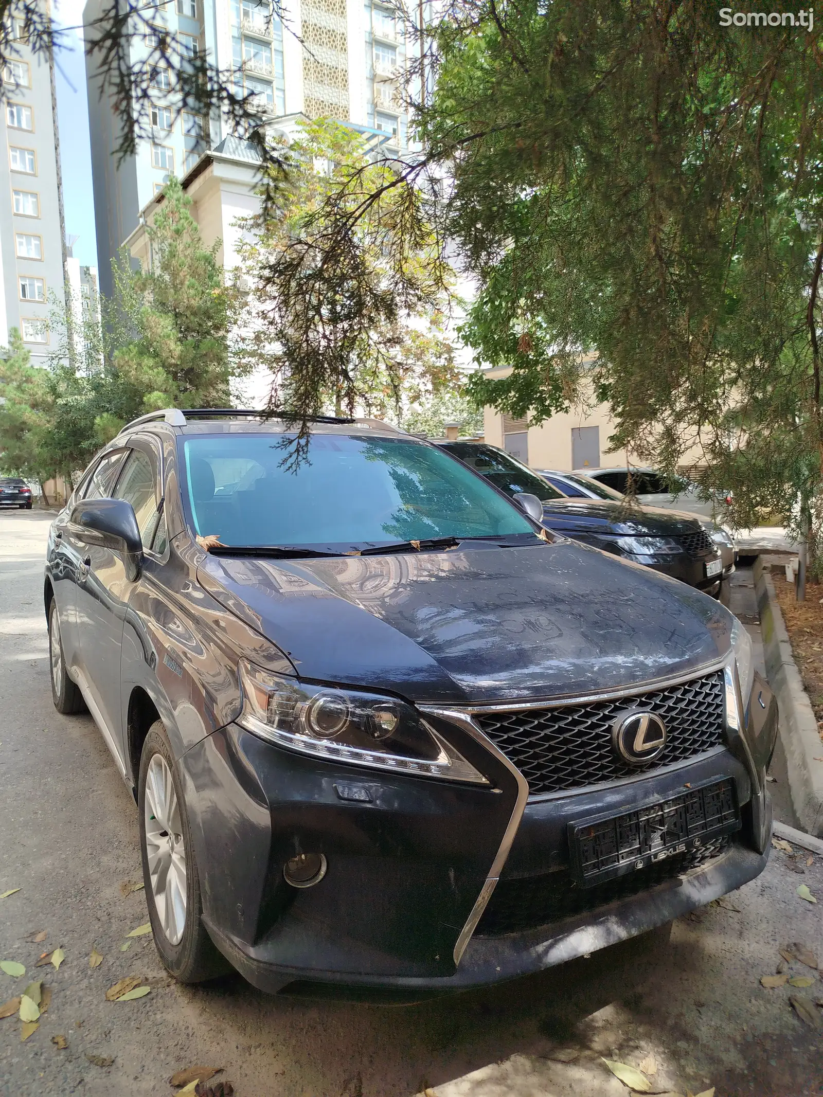 Lexus RX series, 2010-1