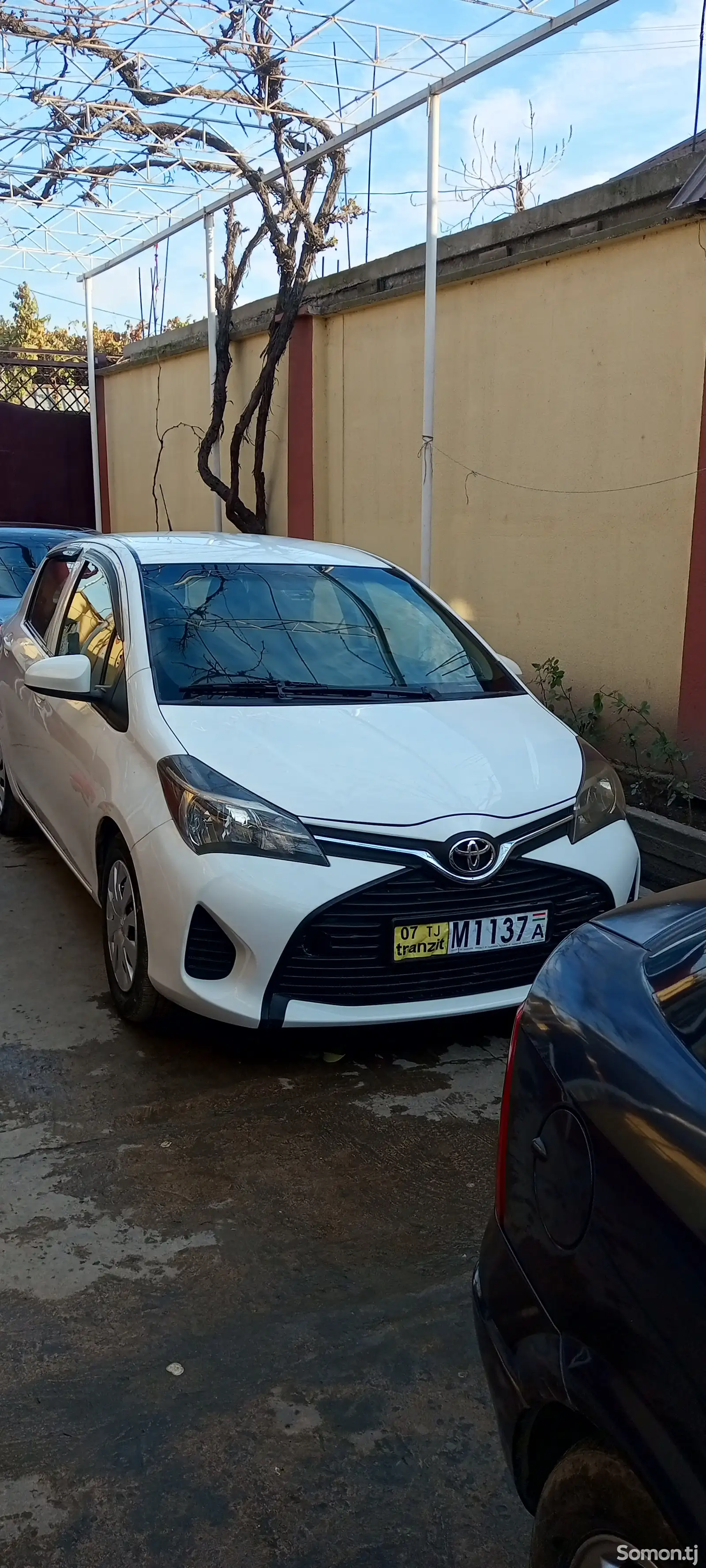 Toyota Vitz, 2017-1