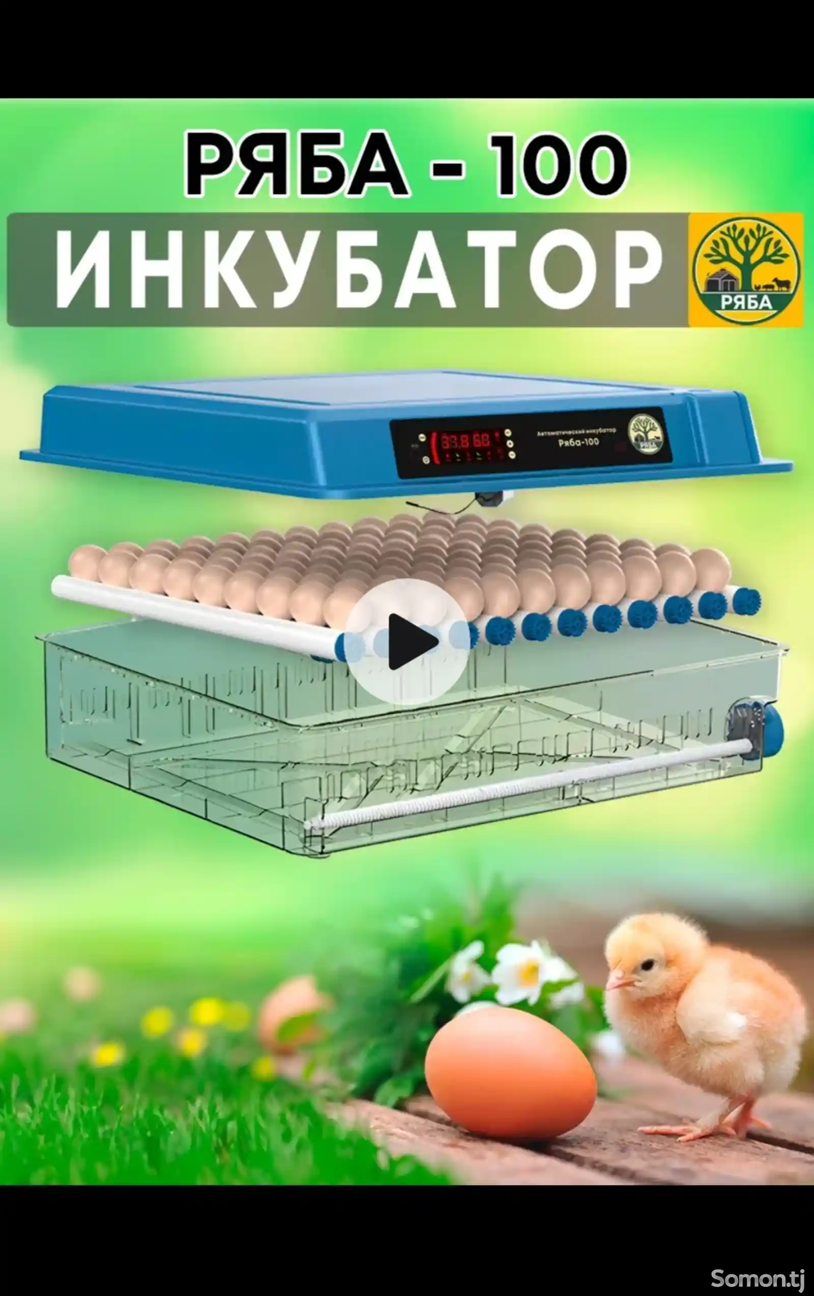 Инкубатор Ряба 100-1