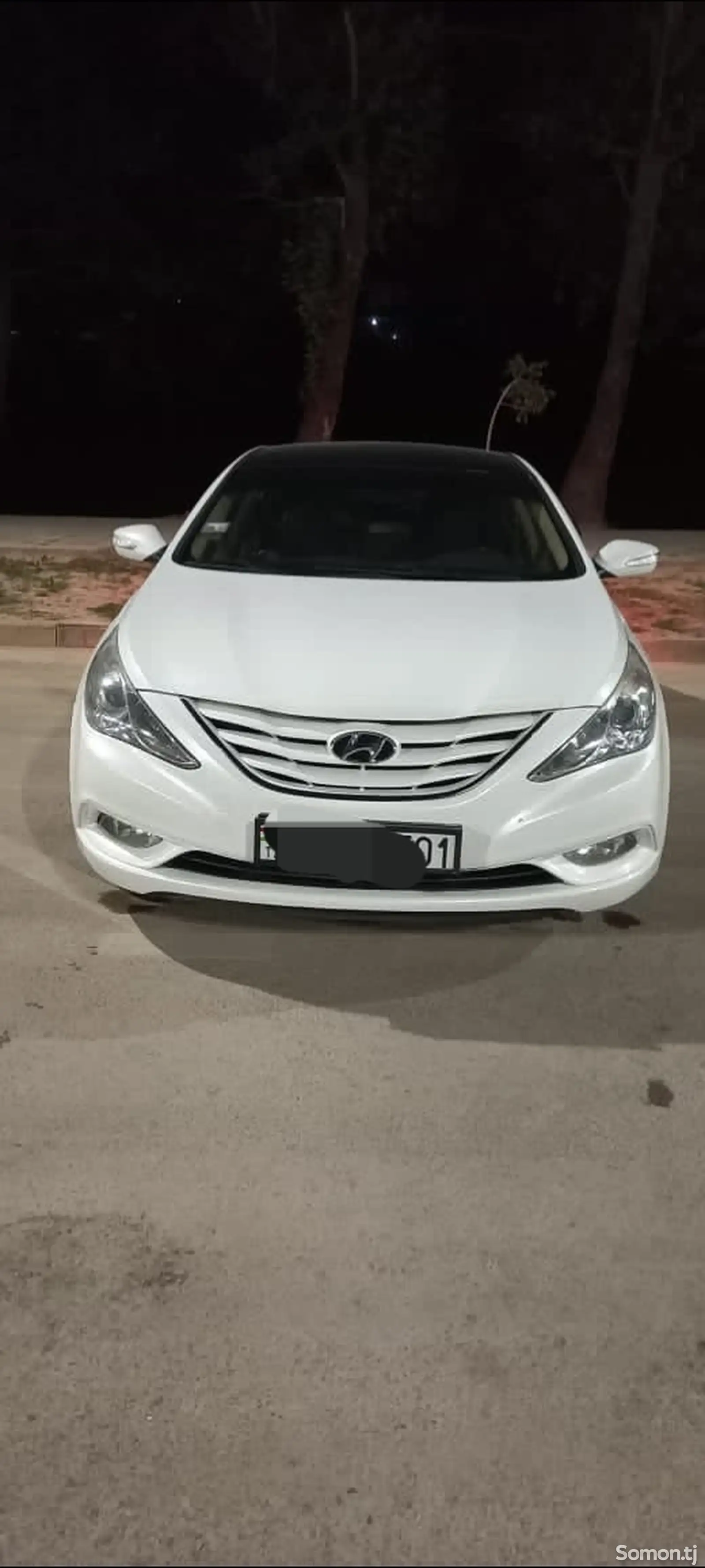 Hyundai Sonata, 2011-1