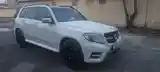 Mercedes-Benz GLK class, 2010-8