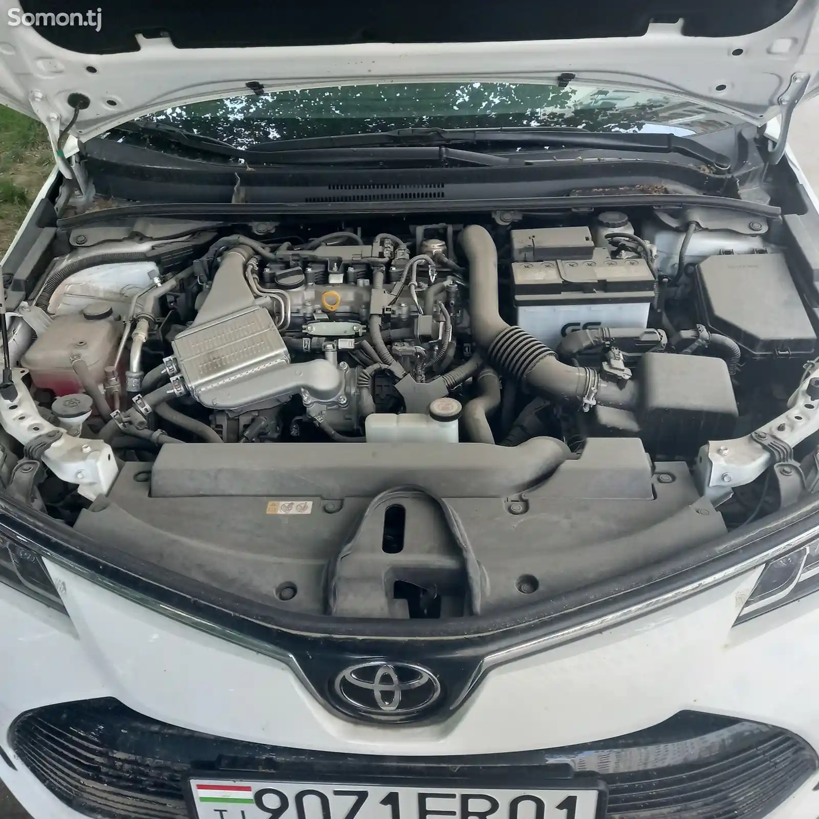 Toyota Corolla, 2023-5