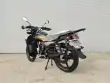 Мотоцикл GLX-SUZUKI-200cc куба-8