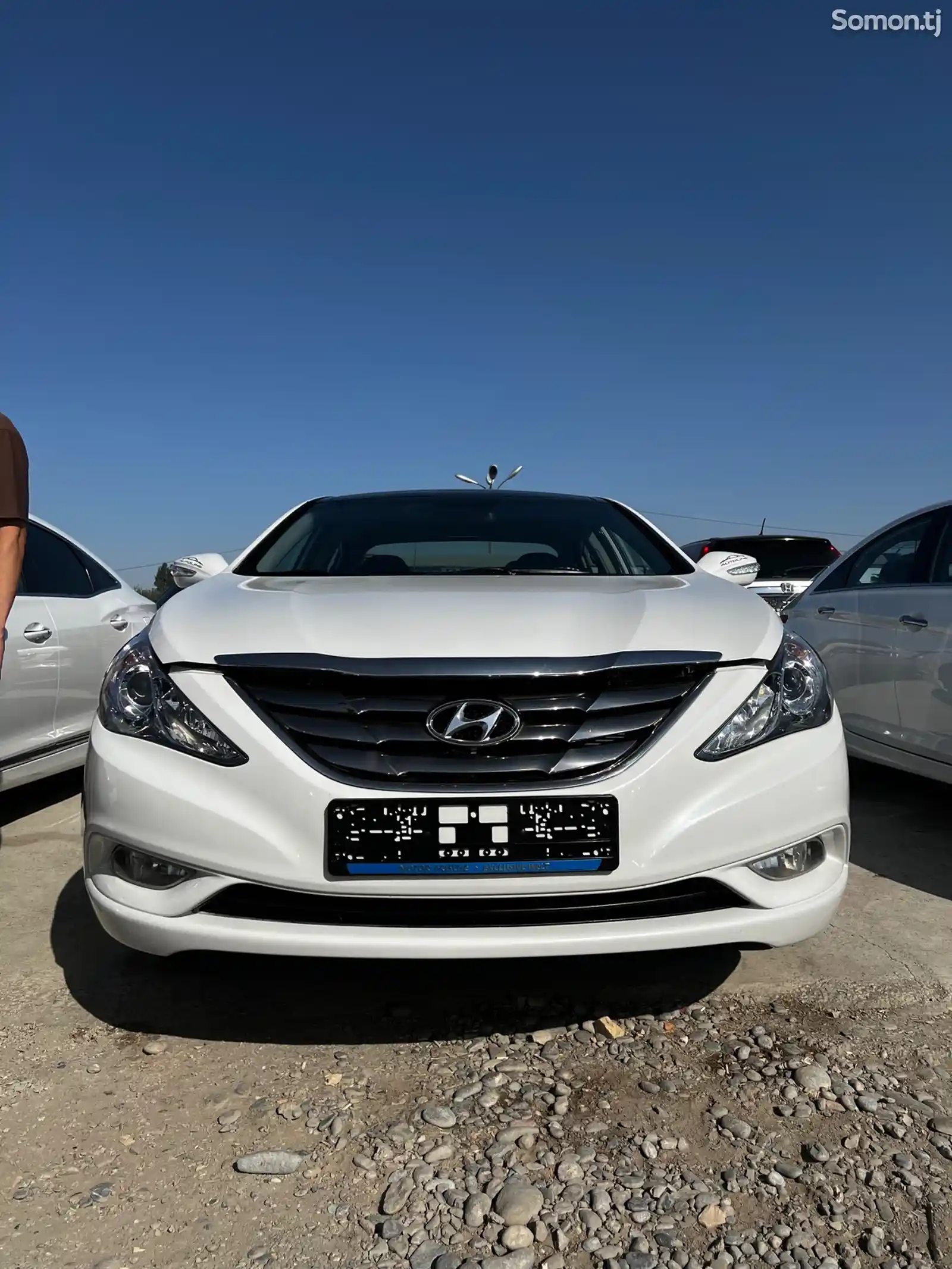 Hyundai Sonata, 2010-1