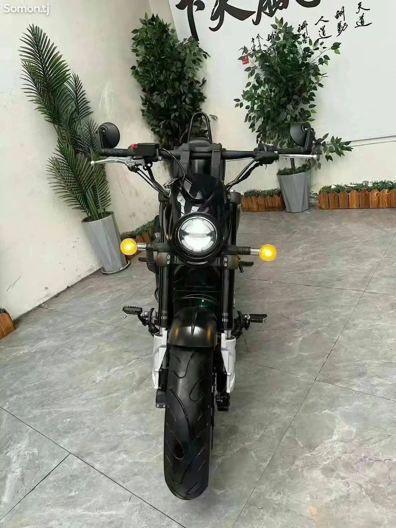 Мотоцикл Regnancy RX300 ABS на заказ-5
