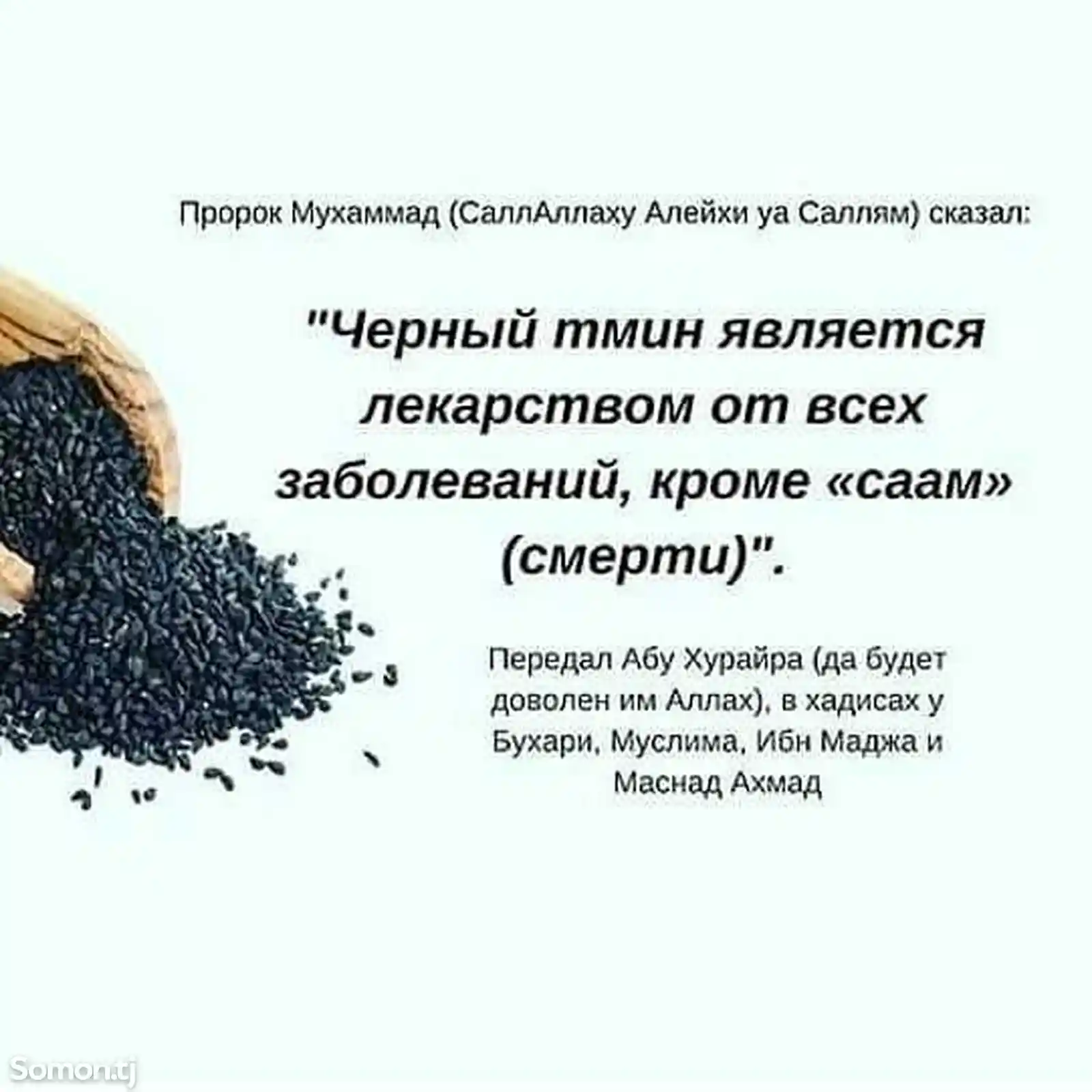масло чёрного тмина-4