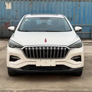 Hongqi E-HS3, 2019