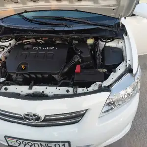 Toyota Corolla, 2010