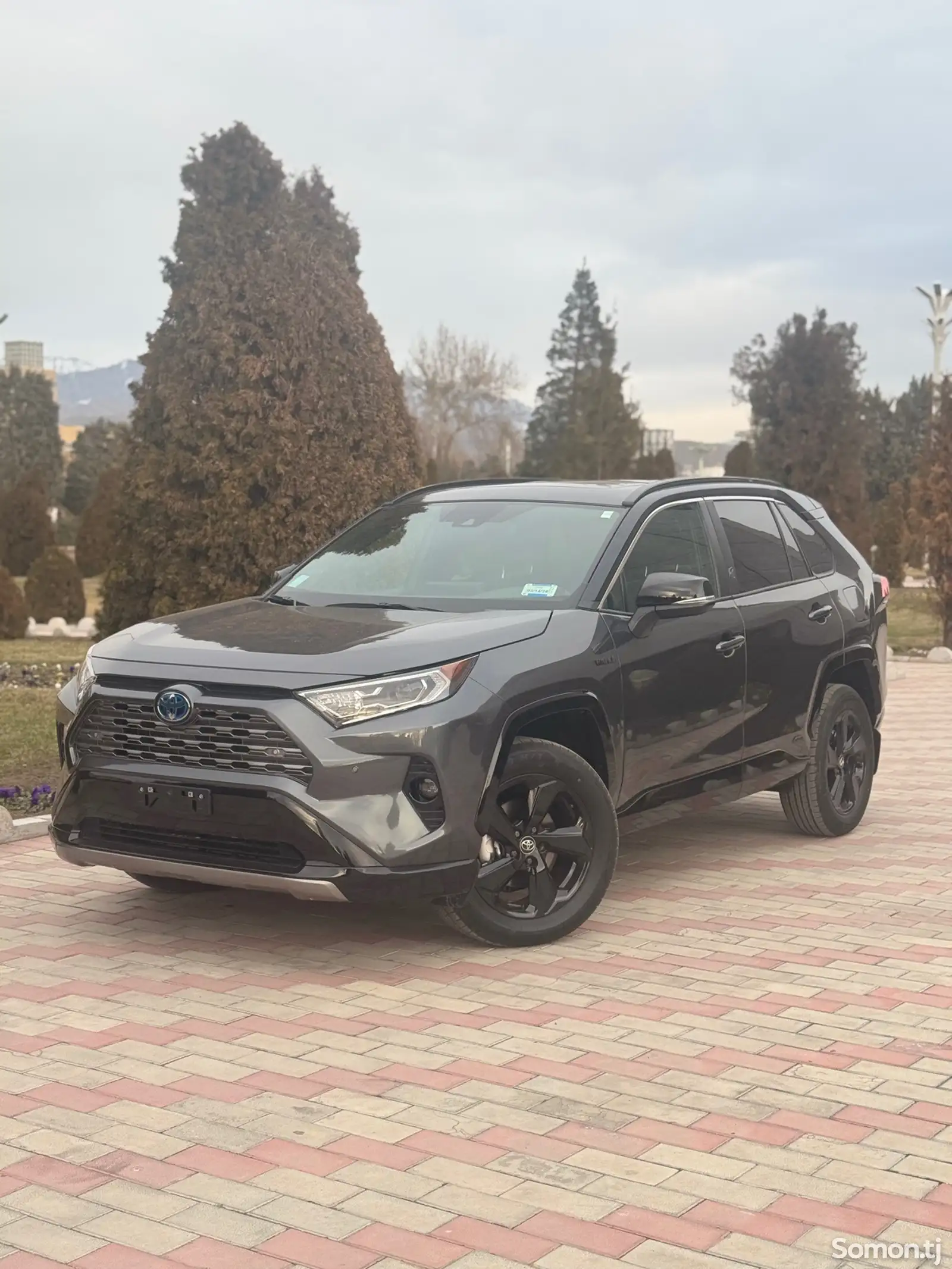 Toyota RAV 4, 2021-1