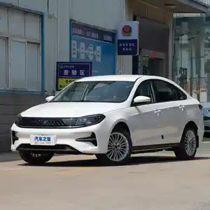 Dongfeng Landian E5, 2024