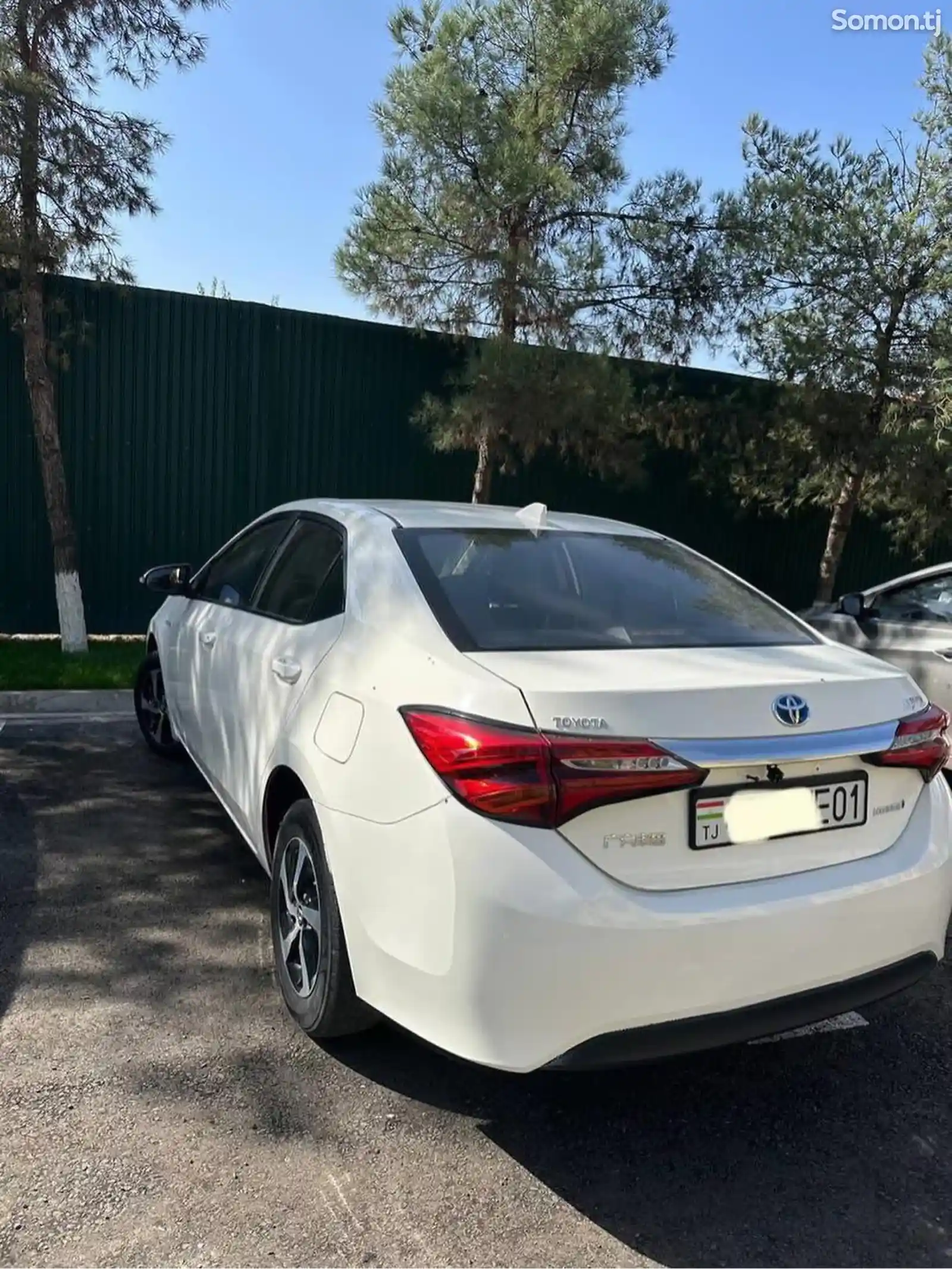 Toyota Levin, 2019-5