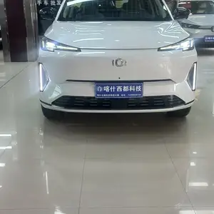 Changan Qiyuan Q, 2024