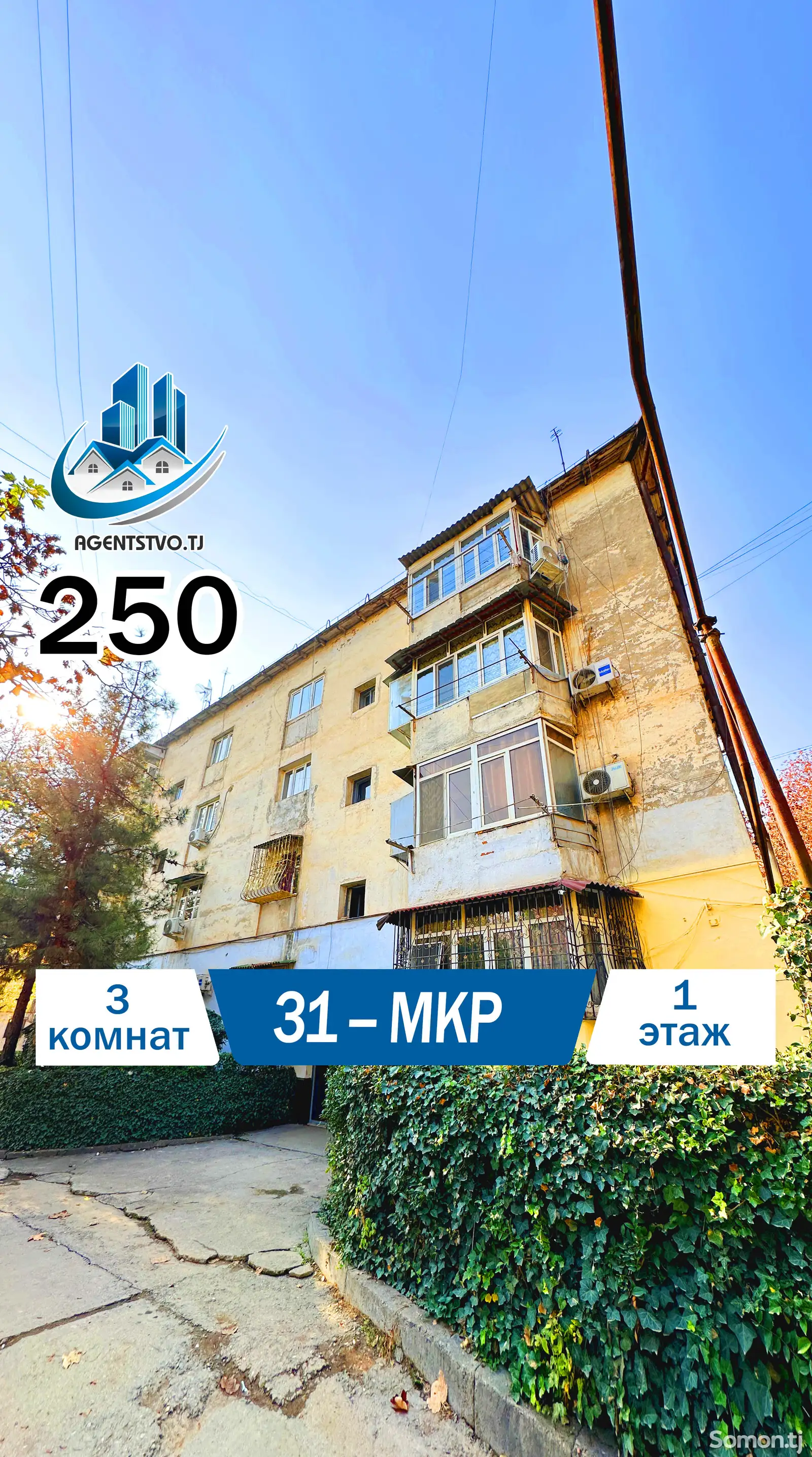 3-комн. квартира, 1 этаж, 80 м², Сино-1