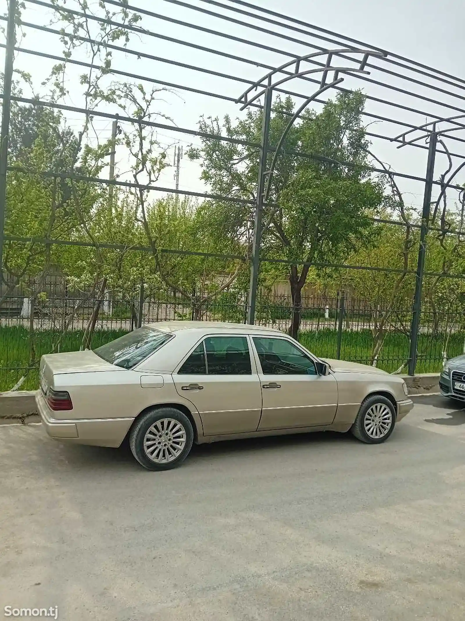 Mercedes-Benz W124, 1994-5