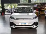 BYD Другие модели, 2024-3