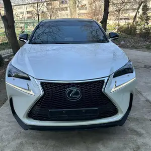 Lexus NX series, 2018