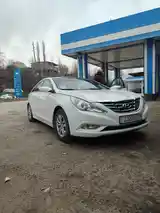 Hyundai Sonata, 2010-5