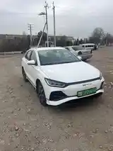 BYD E2, 2024-4