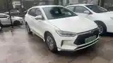 BYD E2, 2020 на заказ-2