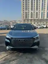 Audi Q4, 2024-3