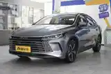 BYD Chazor, 2024-8