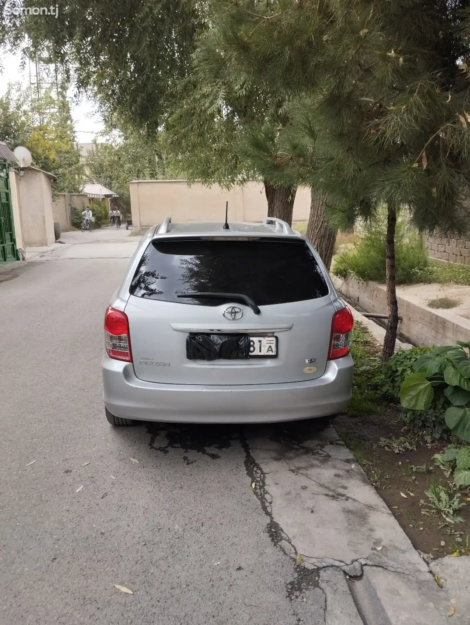 Toyota Fielder, 2010-3