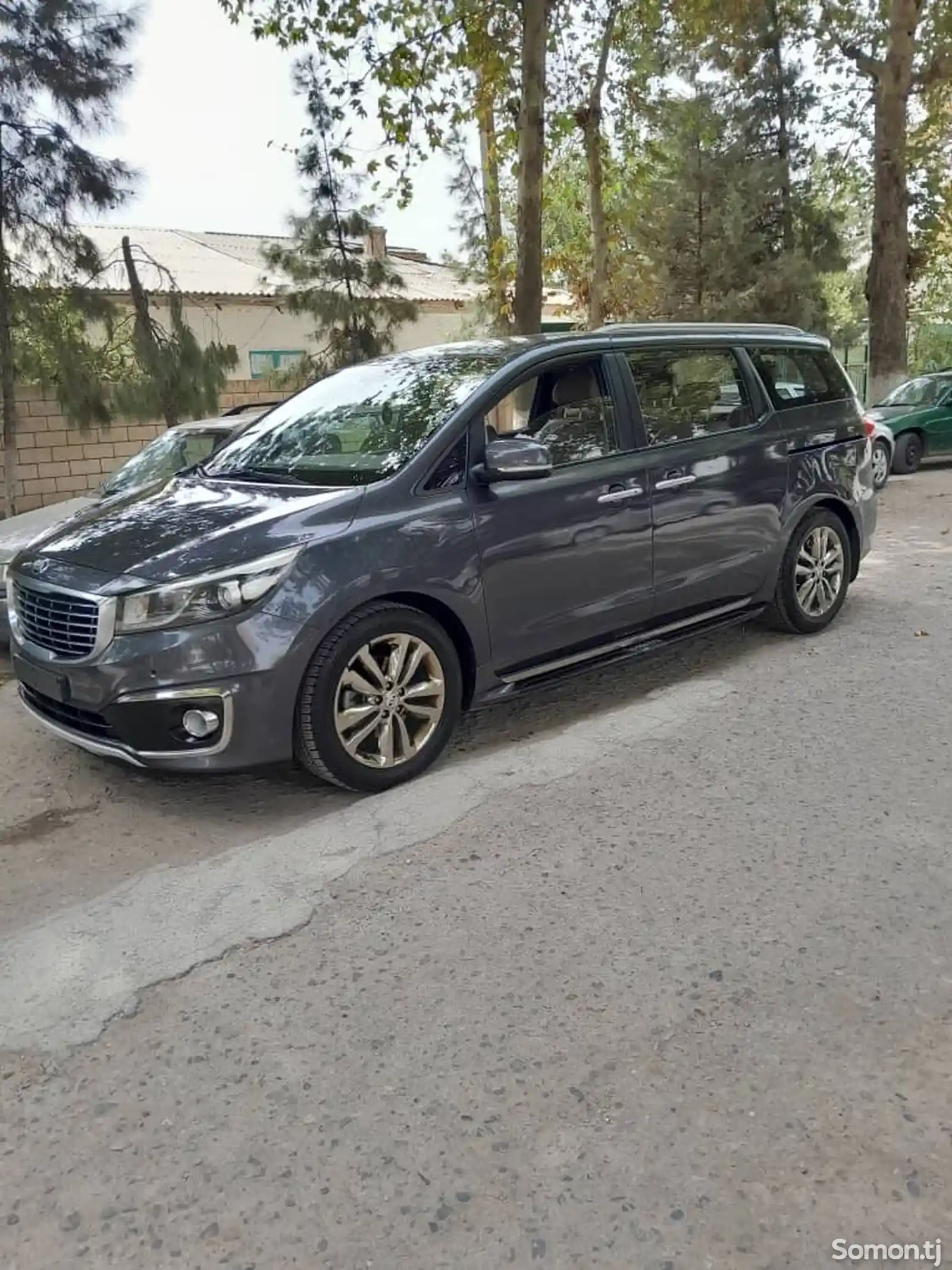 Kia Carnival, 2016-1