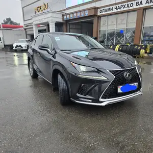 Lexus NX series, 2018