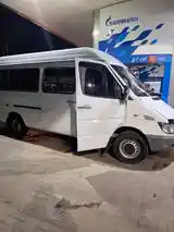 Микроавтобус Mercedes Benz Sprinter-3