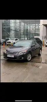 Toyota Camry, 2010-2