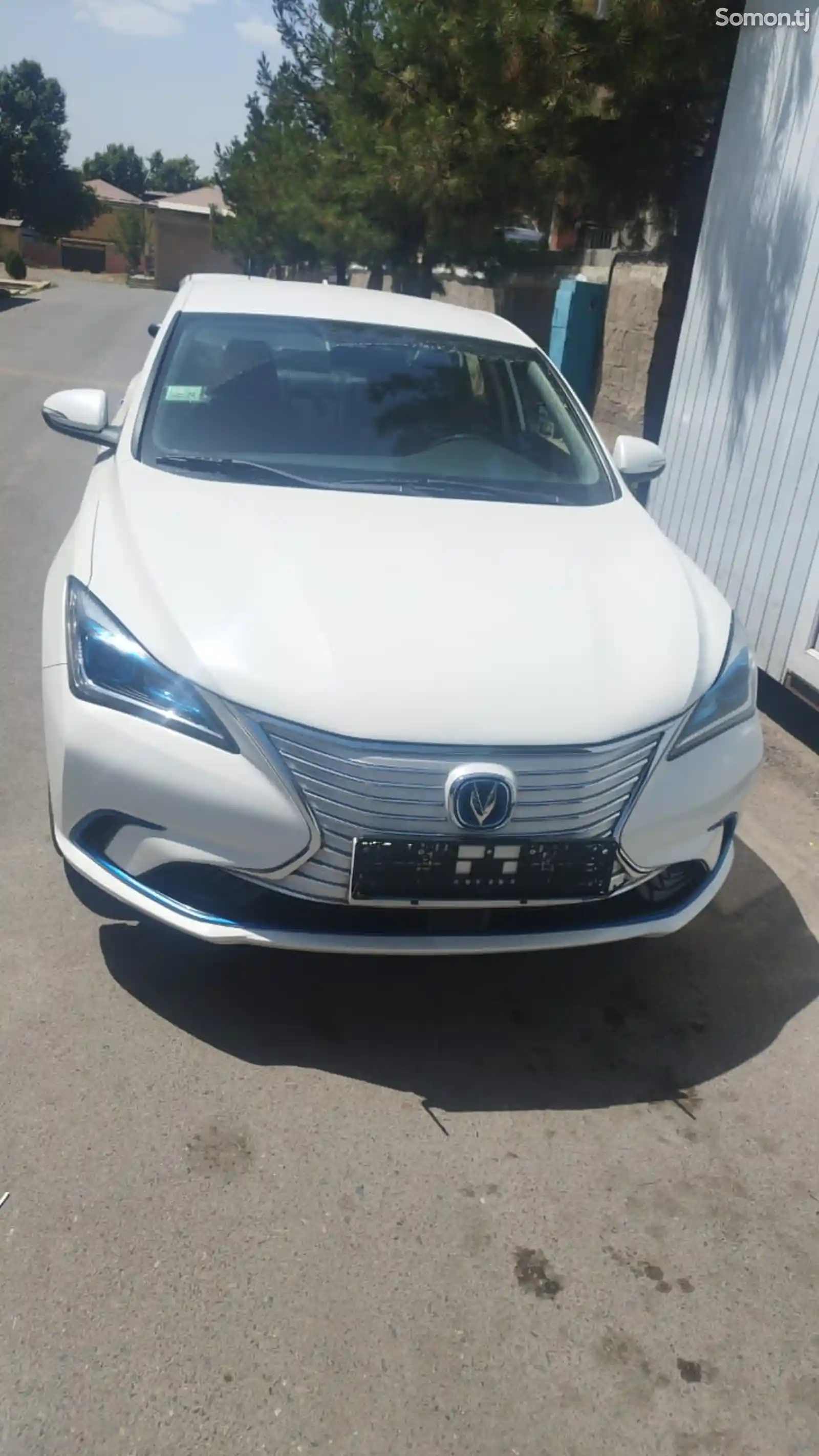 Changan Eado, 2019-8