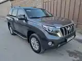 Toyota Land Cruiser Prado, 2014-3