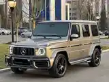 Mercedes-Benz G class, 2021-3