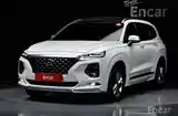 Hyundai Santa Fe, 2019-3