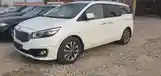 Kia Carnival, 2015-3