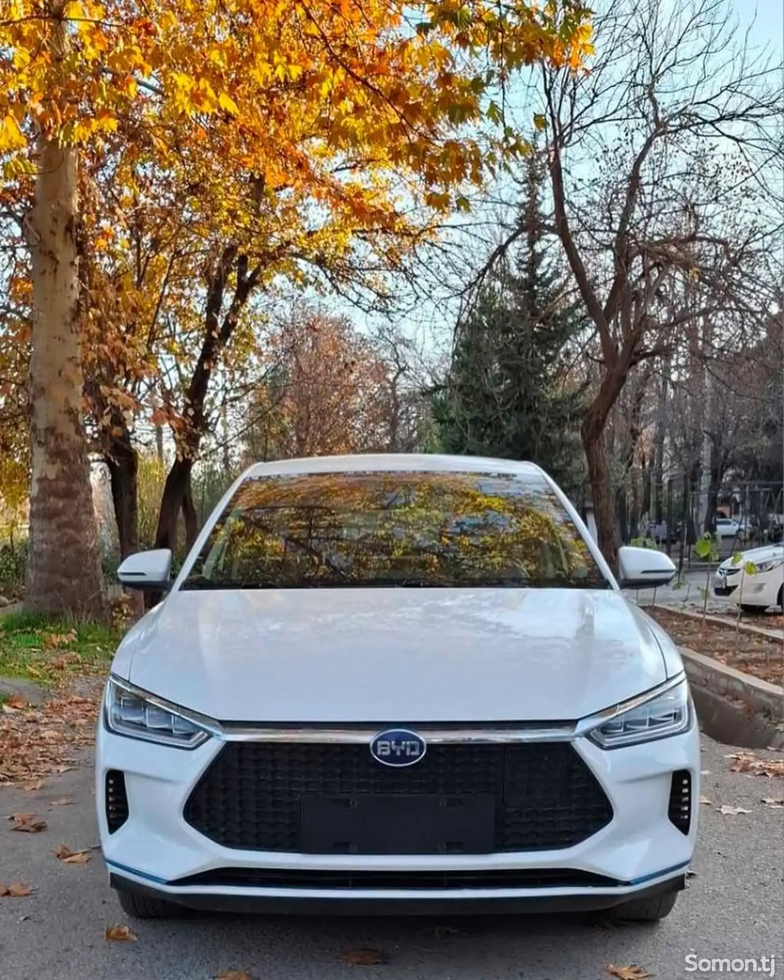 BYD E3, 2020-1