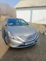 Hyundai Sonata, 2010-3