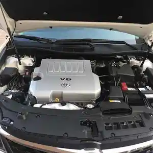 Амортизатор капота Toyota Camry 5 2015-2017