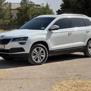 Skoda Karoq, 2020