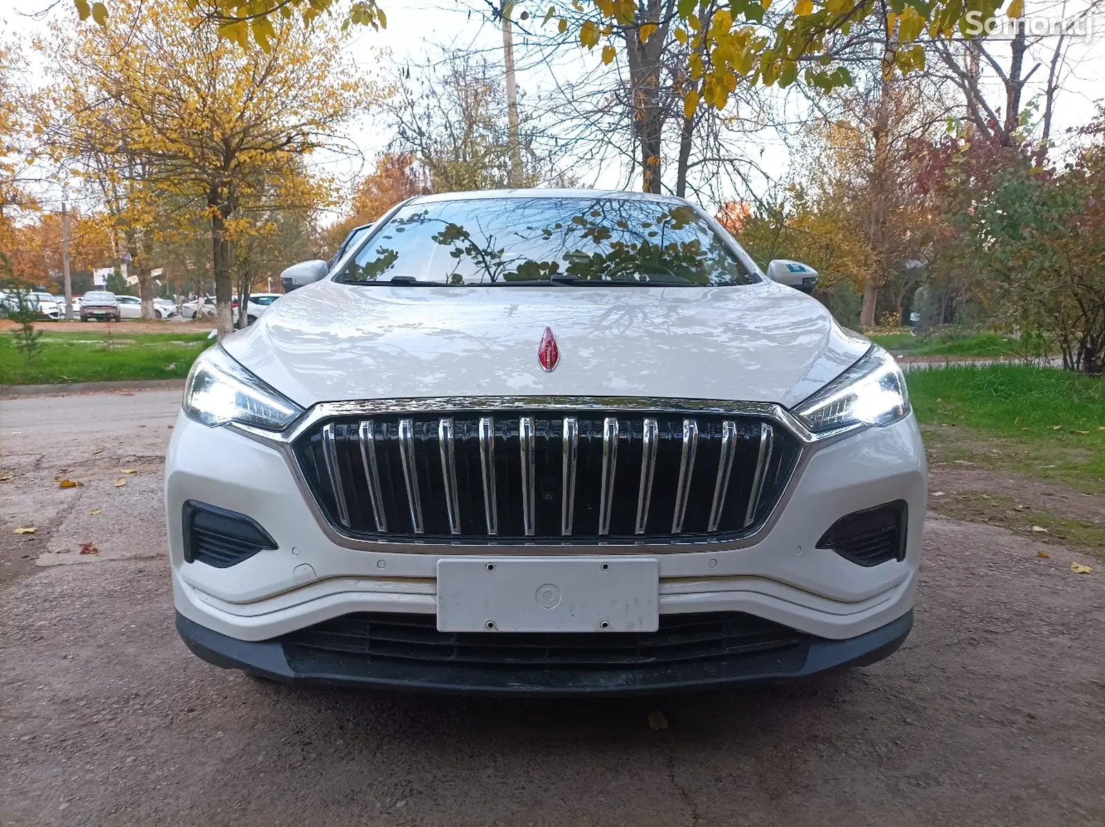 Hongqi E-HS3, 2019-1