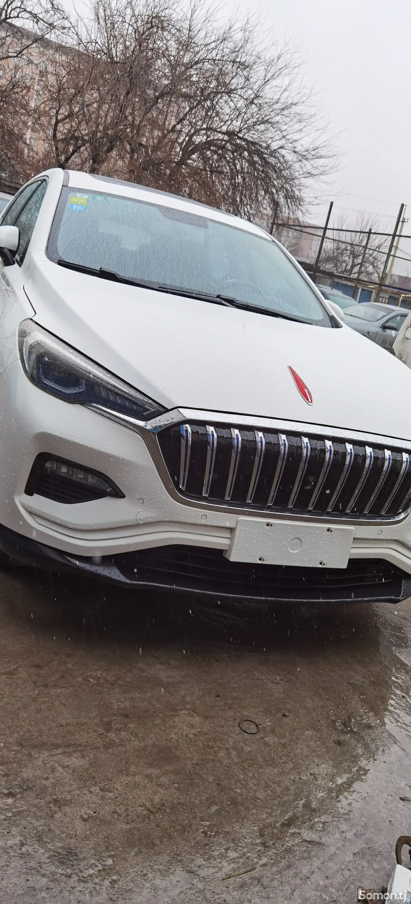 Hongqi E-HS3, 2019-1