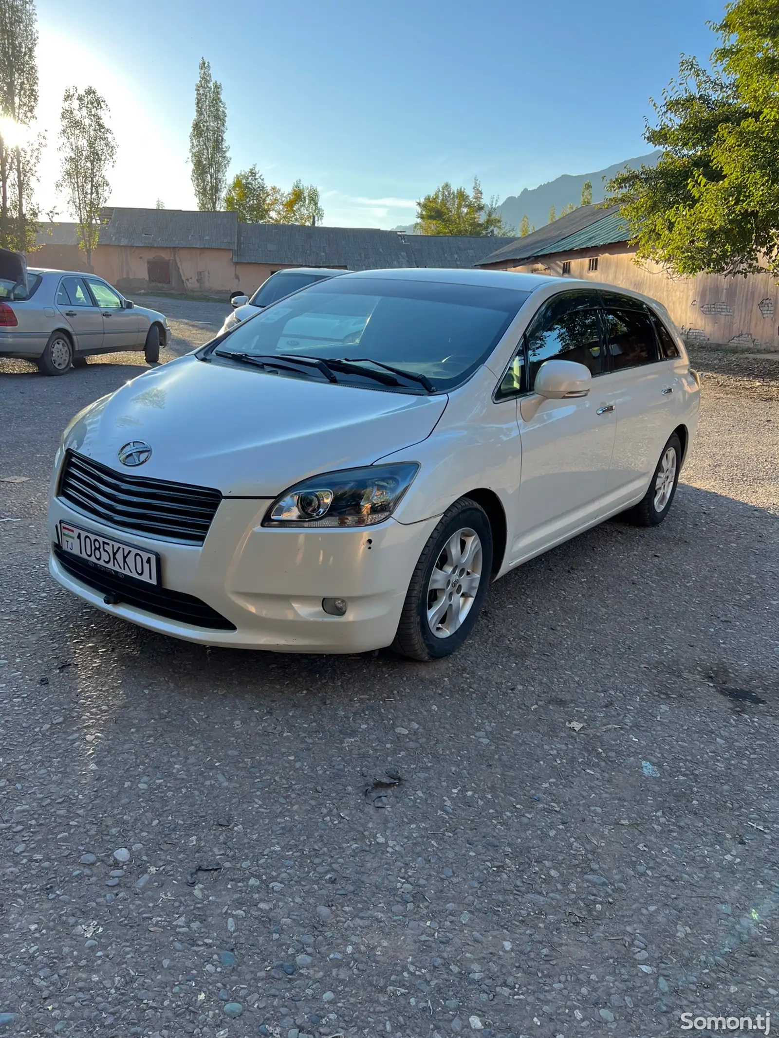 Toyota Mark X ZiO, 2009-6