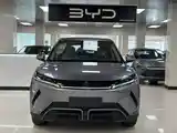 BYD Yuan Up, 2024-4