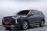 Hyundai Palisade, 2019-3