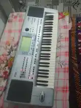 Синтезатор Korg pa 50-4