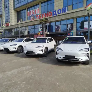 BYD Song Plus Flagship, 2024