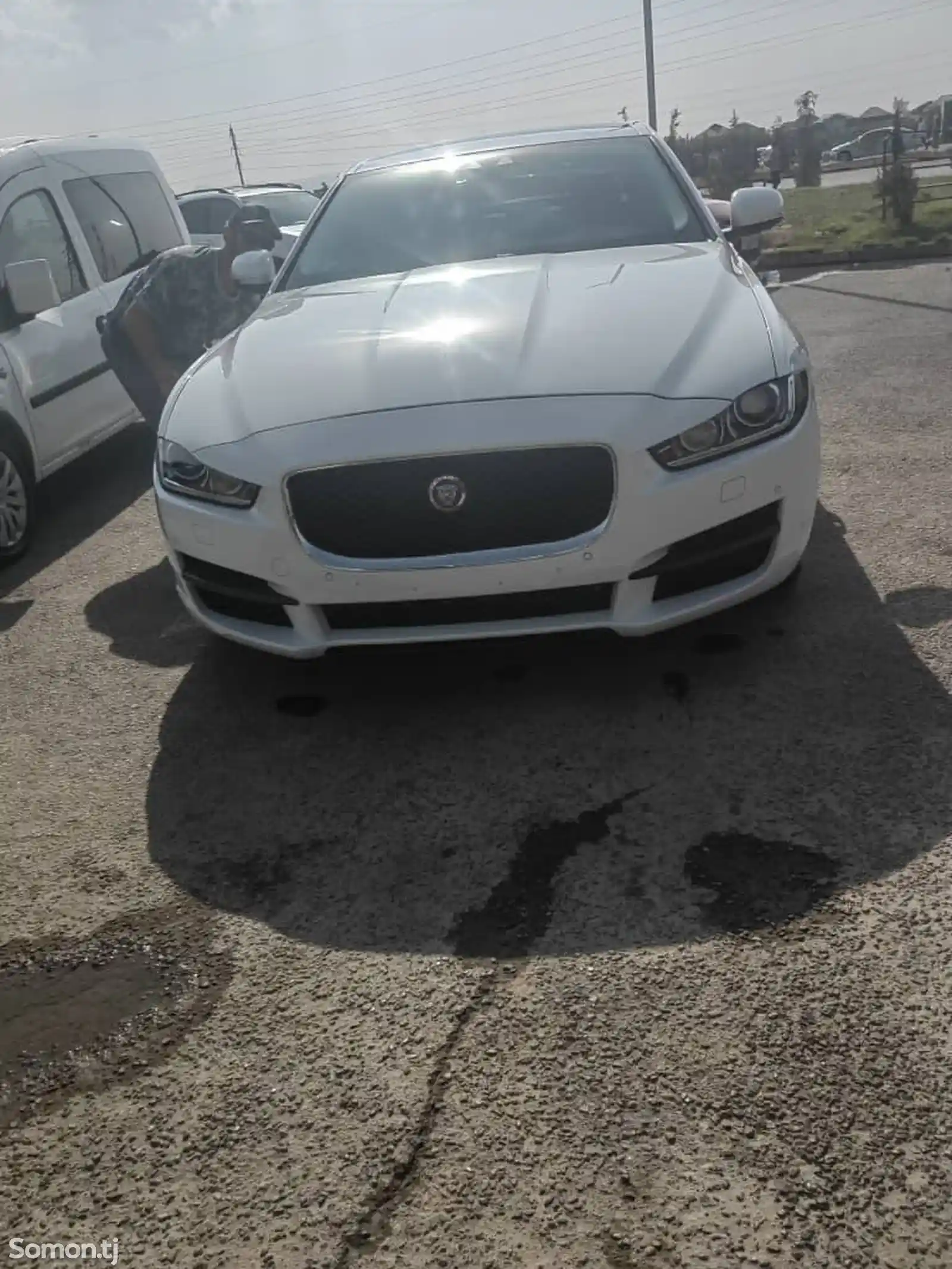 Jaguar, 2016-6