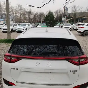 Hongqi E-HS3, 2019